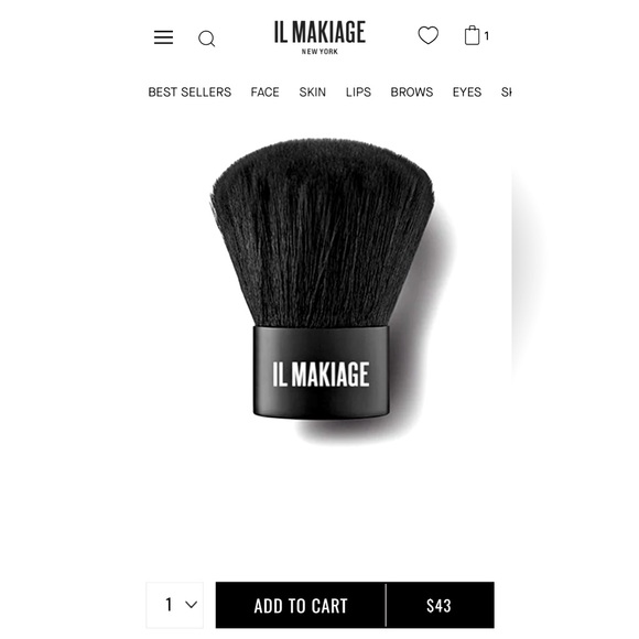 NEW Toni blush NEW IL Makiage brushes crayon EUC Lancôme bag Bundle - Picture 9 of 9